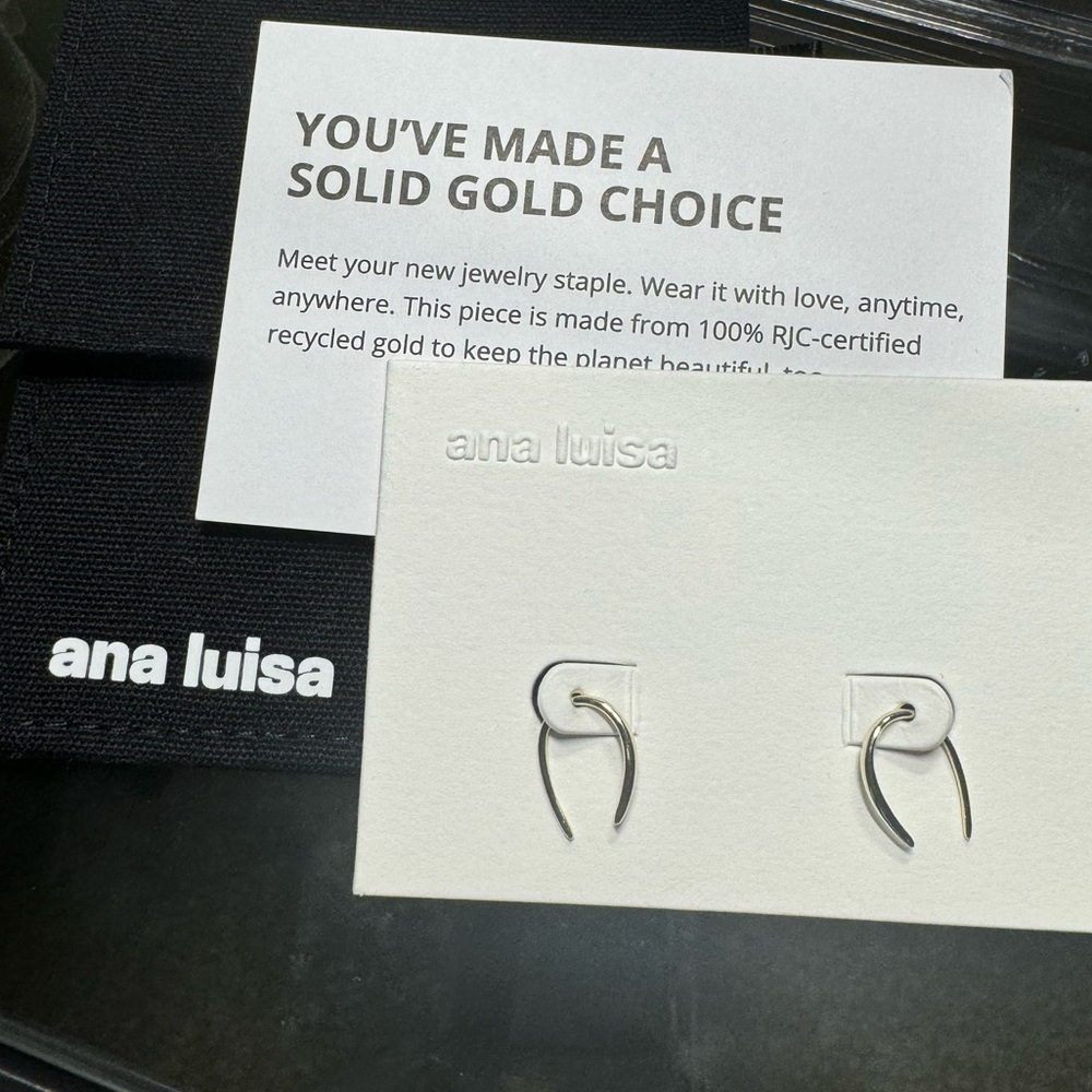Ana Luisa Solid 10k Gold Hook Earrings